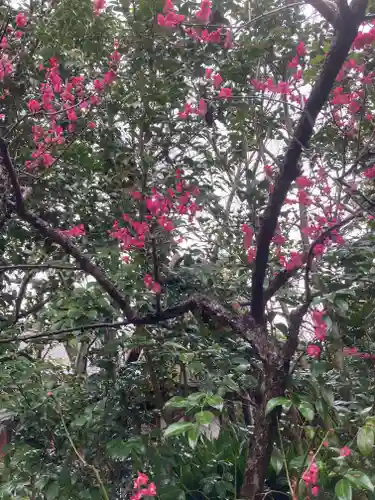 元興寺(奈良県)