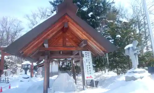 旭川神社の手水