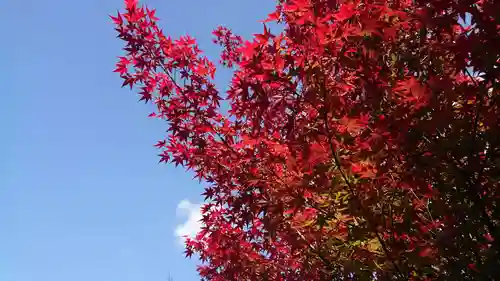 寿量山　速成寺の自然