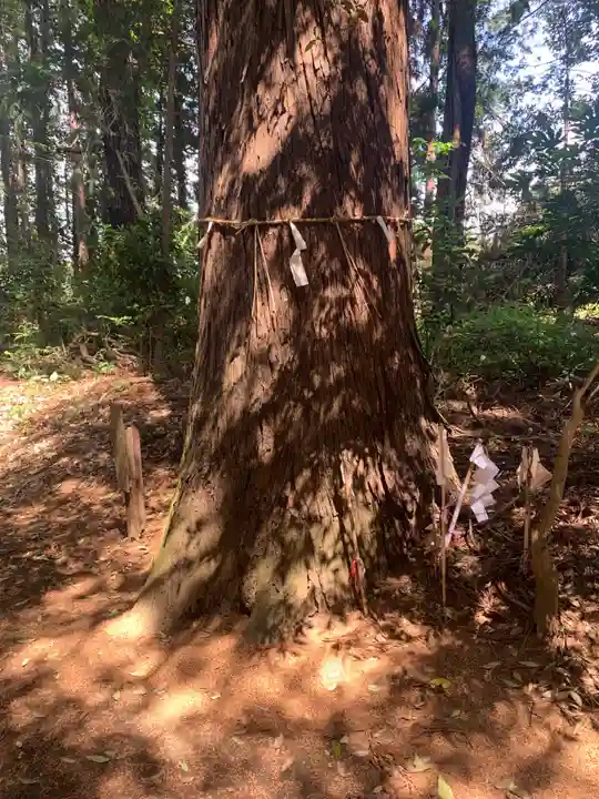 皇太神社(千葉県)