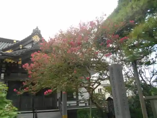 妙隆寺のその他建物