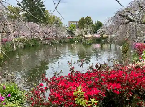 三嶋大社(静岡県)