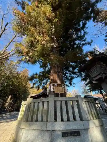 諏訪大社下社秋宮(長野県)