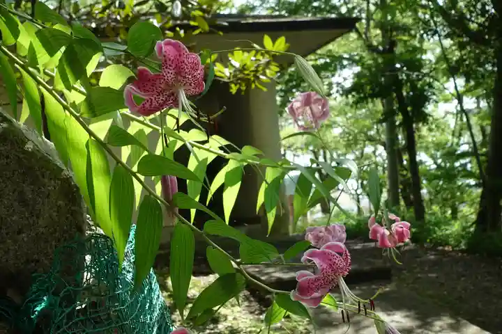 四條畷神社の自然