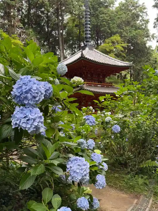岩船寺(京都府)