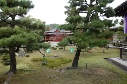 大覚寺の庭園