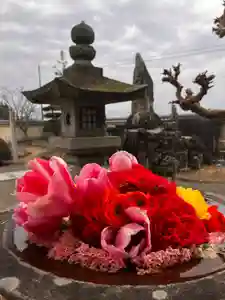 真言宗 善通寺派 薬王寺(香川県)(2025年03月02日(日) 17時20分17秒投稿)