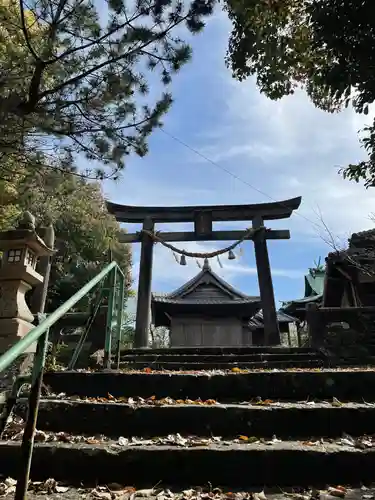 松島神社の鳥居