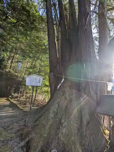萩日吉神社(埼玉県)