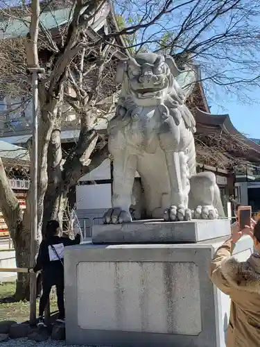 寒川神社の狛犬