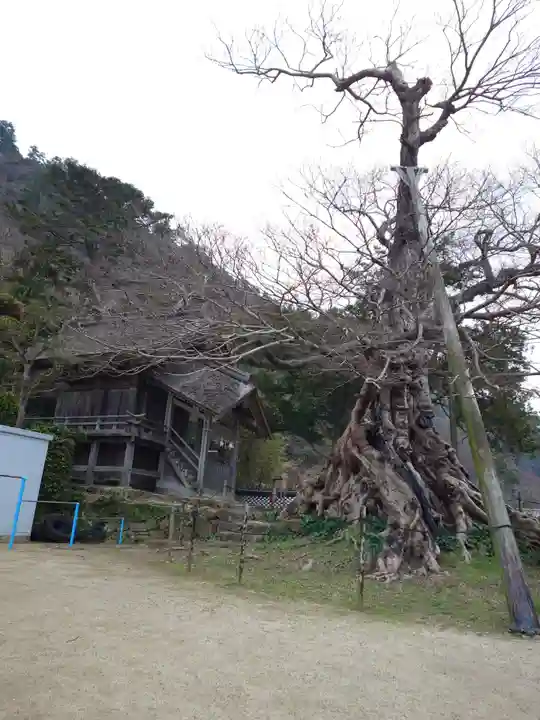神魂伊能知奴志神社(島根県)