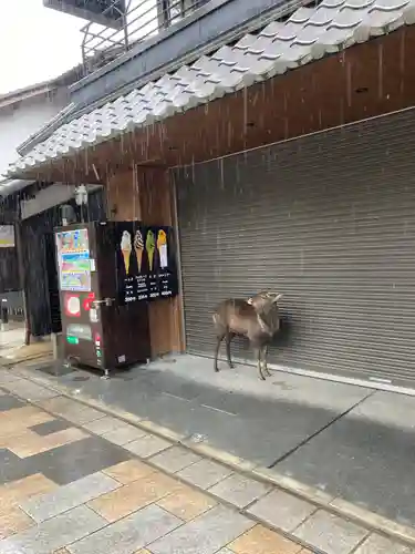東大寺(奈良県)