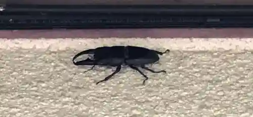 石内のお大師さん　金剛院(広島県)