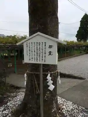 西寒多神社(大分県)