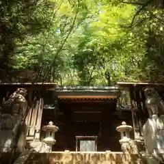 篠ｹ谷神社(岐阜県)