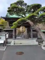 長谷寺の山門・神門