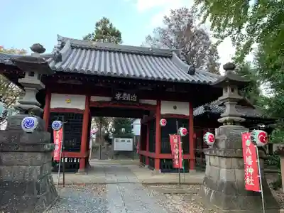 東石清水八幡神社(埼玉県)