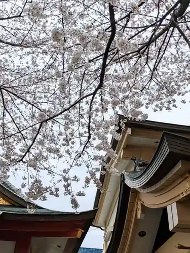浅草富士浅間神社の自然