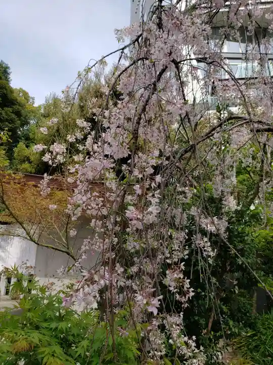 乃木神社(東京都)