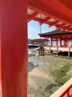 厳島神社(広島県)