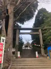 所澤神明社の鳥居