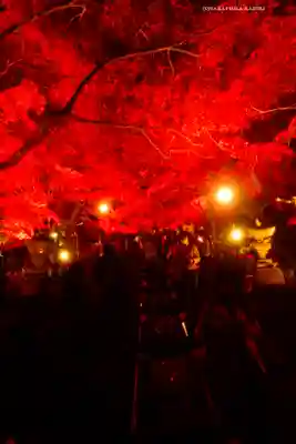 大山寺(神奈川県)