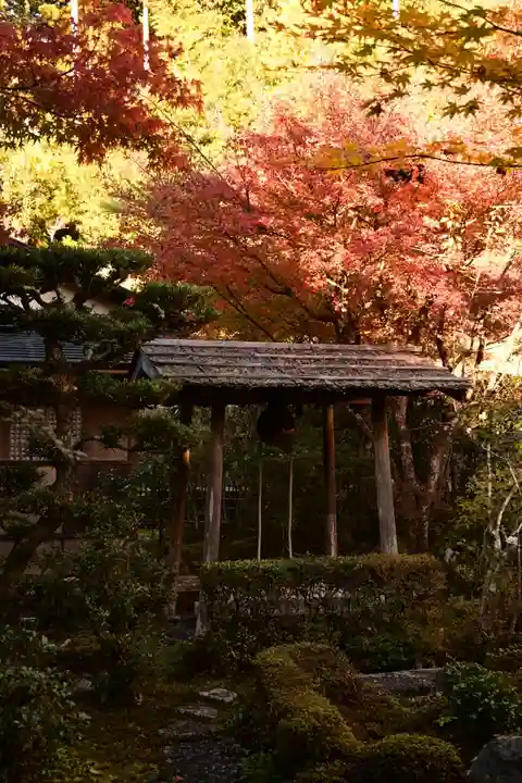 圓光寺(京都府)