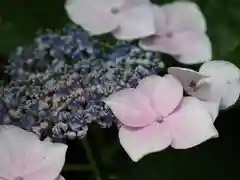 水主神社の自然