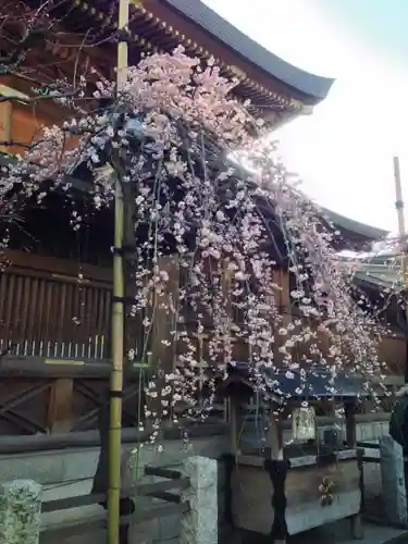 湯島天満宮のその他建物