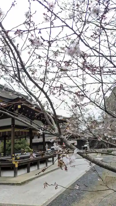 平野神社(京都府)