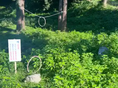 高蔵寺(千葉県)