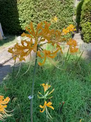 横浜　西方寺(神奈川県)