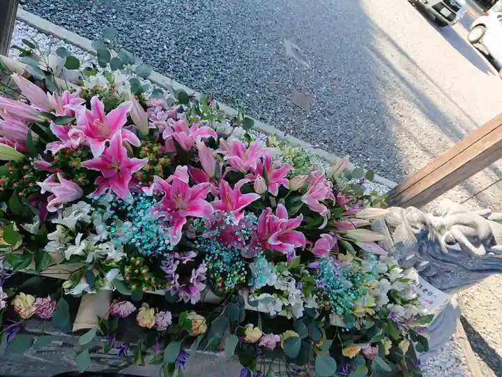 大歳神社の手水舎