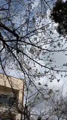 墨染寺（桜寺）(京都府)