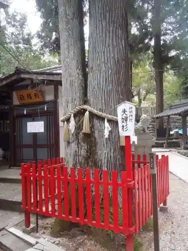 神明神社(岐阜県)