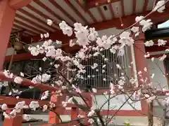 大物主神社の自然