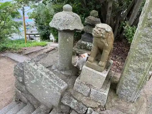 豊玉姫神社の狛犬