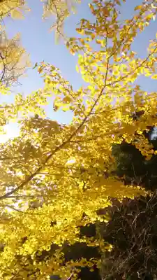 葛城一言主神社(奈良県)
