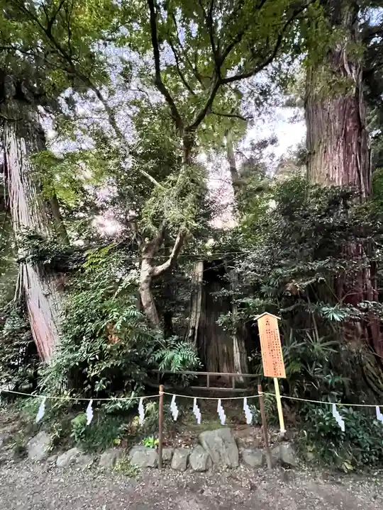 香取神宮(千葉県)