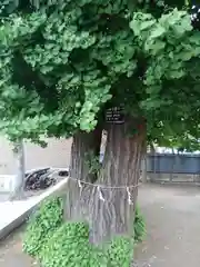 諏訪神社の建物その他