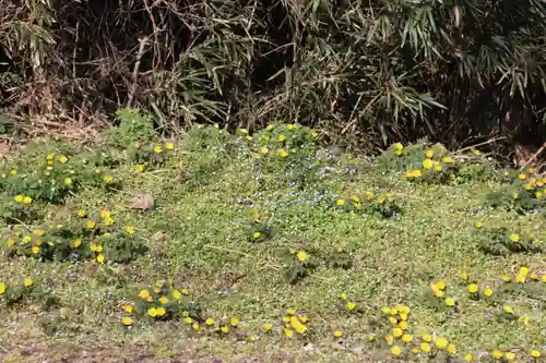 正観音堂の自然