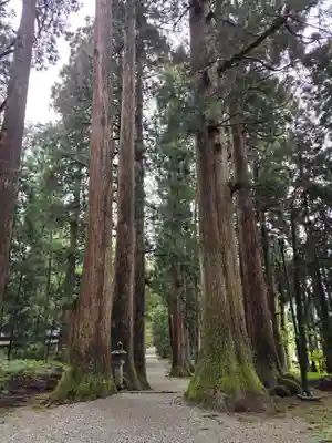 雄山神社中宮祈願殿(富山県)