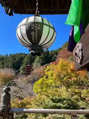 長谷寺(奈良県)