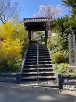 光照寺(神奈川県)
