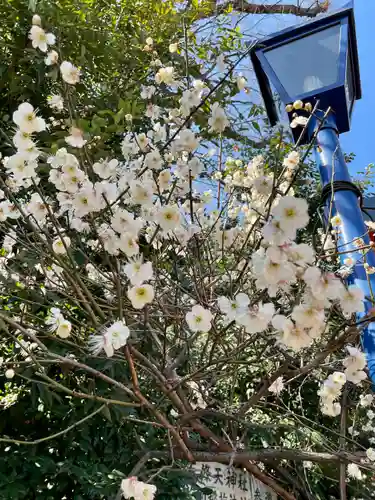 花園稲荷神社の自然