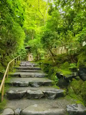 光明寺瑠璃光院(京都府)