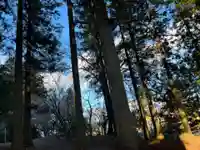 大宮温泉神社(栃木県)