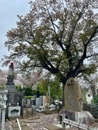 東光寺の{uncategorized: "未分類", other: "その他", undefined: "問題あり", building: "その他建物", grave: "お墓", sacred_gate: "鳥居", guardian: "狛犬", statue: "像", buddha: "仏像", history: "歴史", nature: "自然", garden: "庭園", animal: "動物", pagoda: "塔", temizu: "手水舎", mountain_gate: "山門・神門", sanctuary: "本殿・本堂", subordinate: "末社・摂社", art: "芸術", scenery: "景色", jizo: "地蔵", ema: "絵馬", goshuin: "御朱印", omikuji: "おみくじ", items: "授与品その他", amulet: "お守り", goshuincho: "御朱印帳", eats: "食事", festival: "お祭り", votive_dance: "神楽", shichigosan: "七五三参", wedding: "結婚式", experience: "体験その他", initially: "初詣", around: "周辺", anti_infection: "感染症対策"}