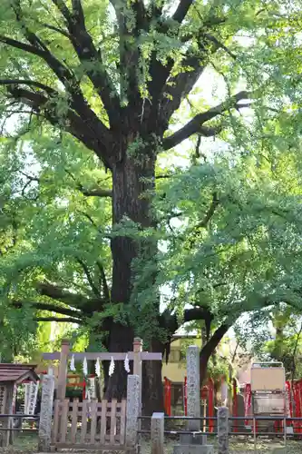 法明寺(東京都)