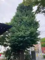 町屋神社(神奈川県)